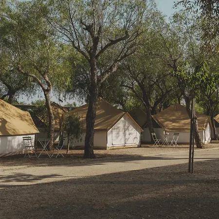 Wecamp خافييا